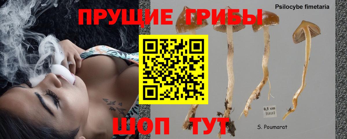 Слободской  Псилоцибиновые грибы ЛСД  Вход с VPN  Галлюциногенные грибы Magic Shrooms 