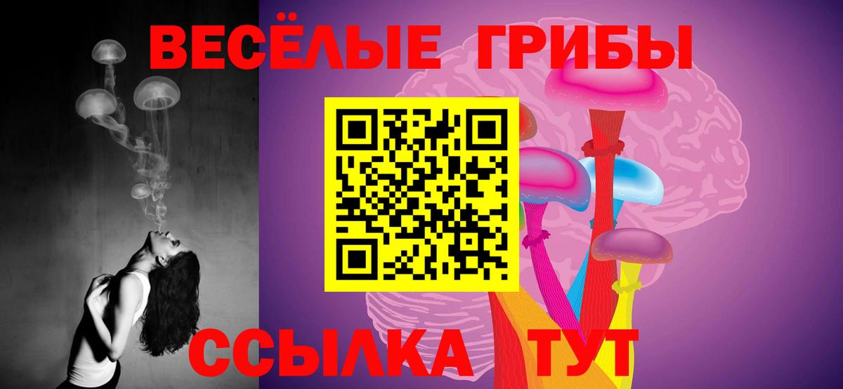 Галлюциногенные грибы Psilocybe Слободской